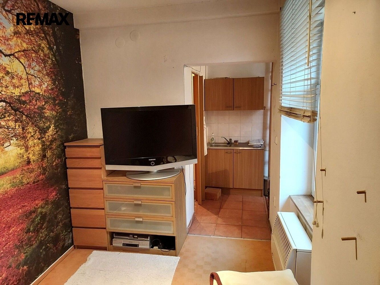 1+1, Prostějov, Olomoucký kraj, 19 m² - 2