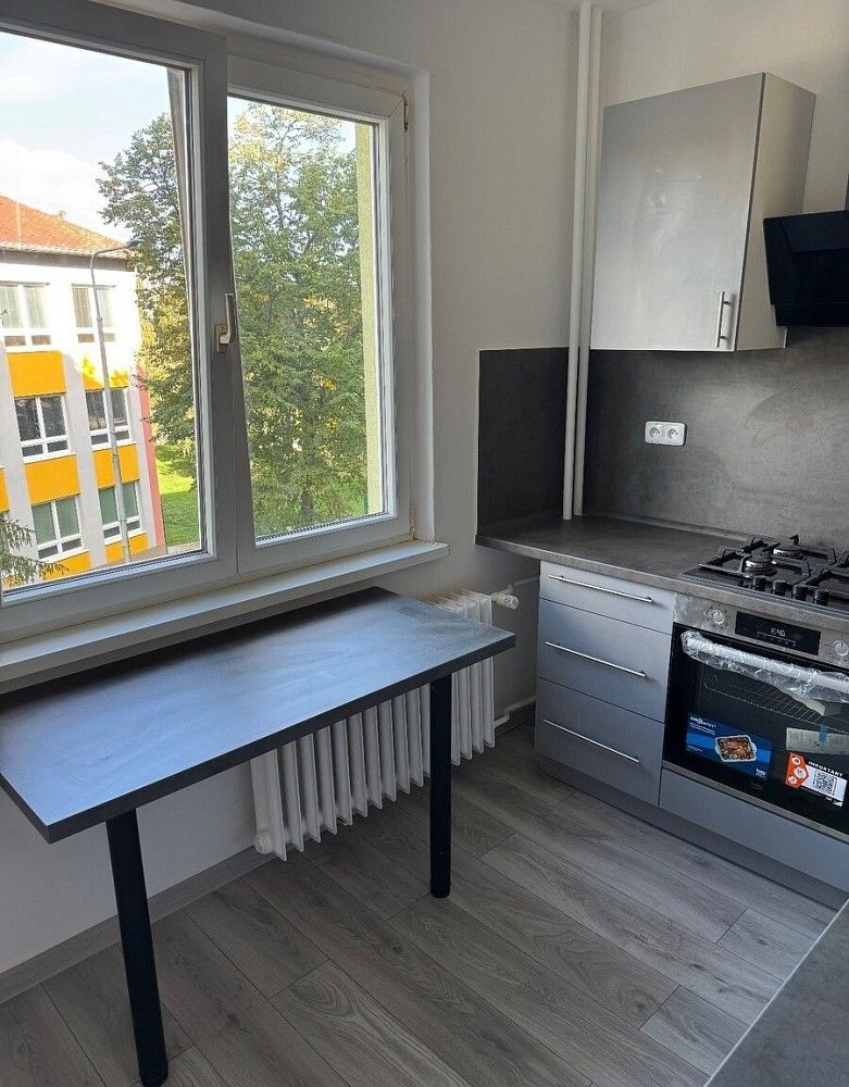 Byt 2+1 · 60 m² · Chodov, okres Sokolov, Karlovarský kraj - 3