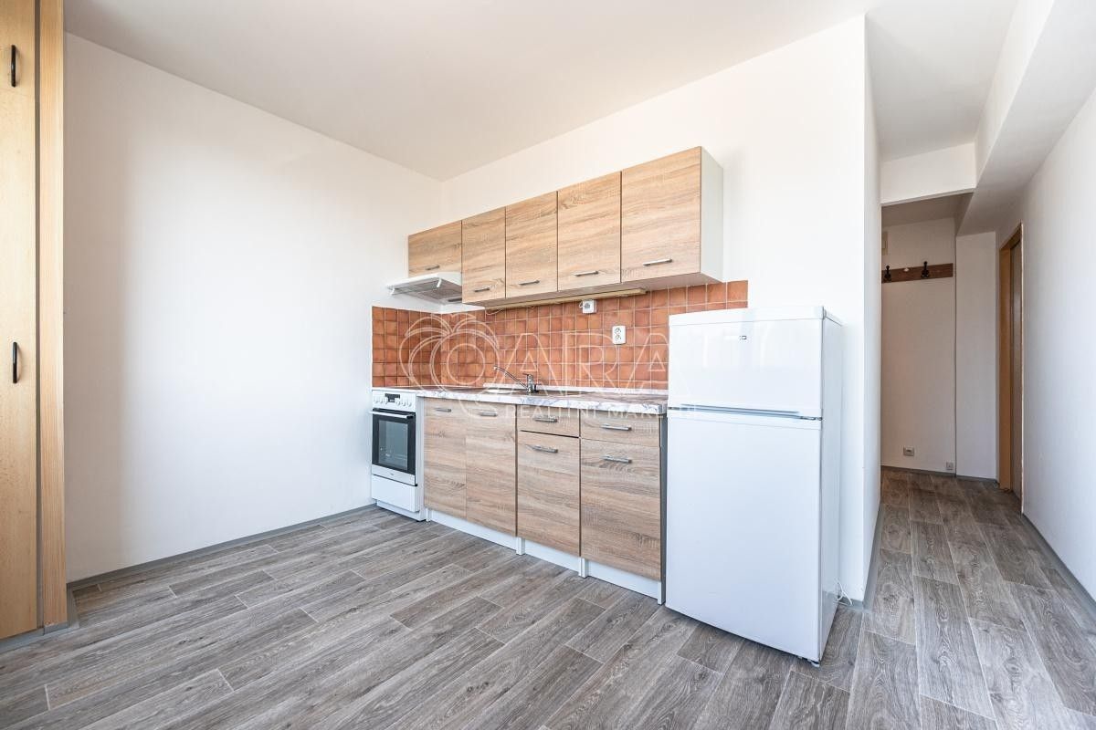 Pronájem byt 1+1 - Jana Palacha, Mladá Boleslav, 41 m²