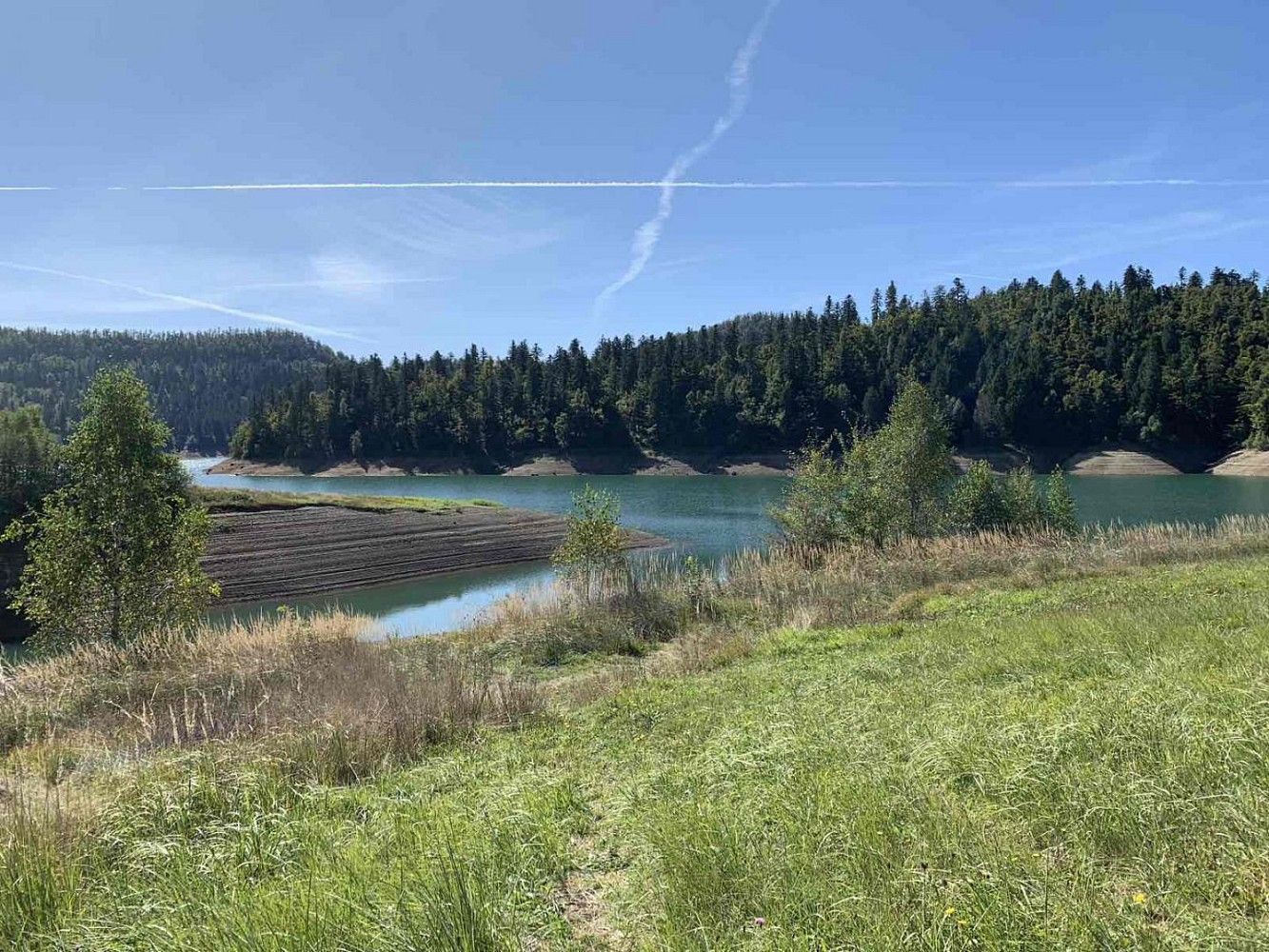 Pozemek pro bydlení, 450 m²