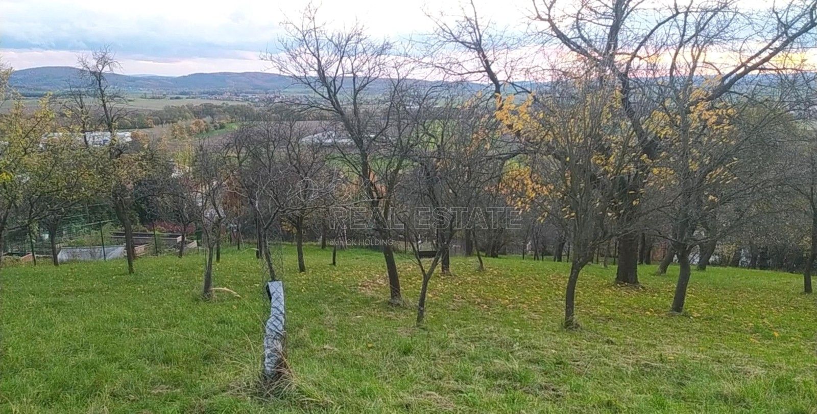 Prodej zahrada - Přílepy, 3 492 m² - 5