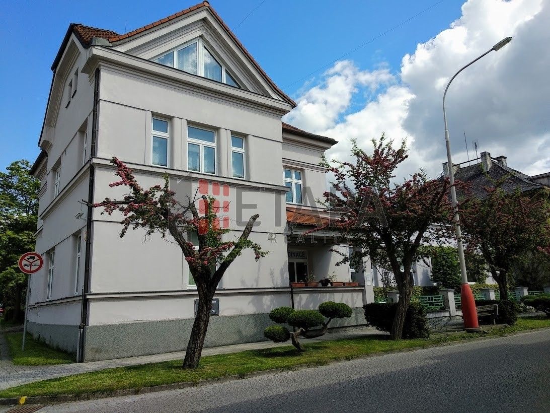 Prodej dům - Čechova, Bechyně, 460 m²