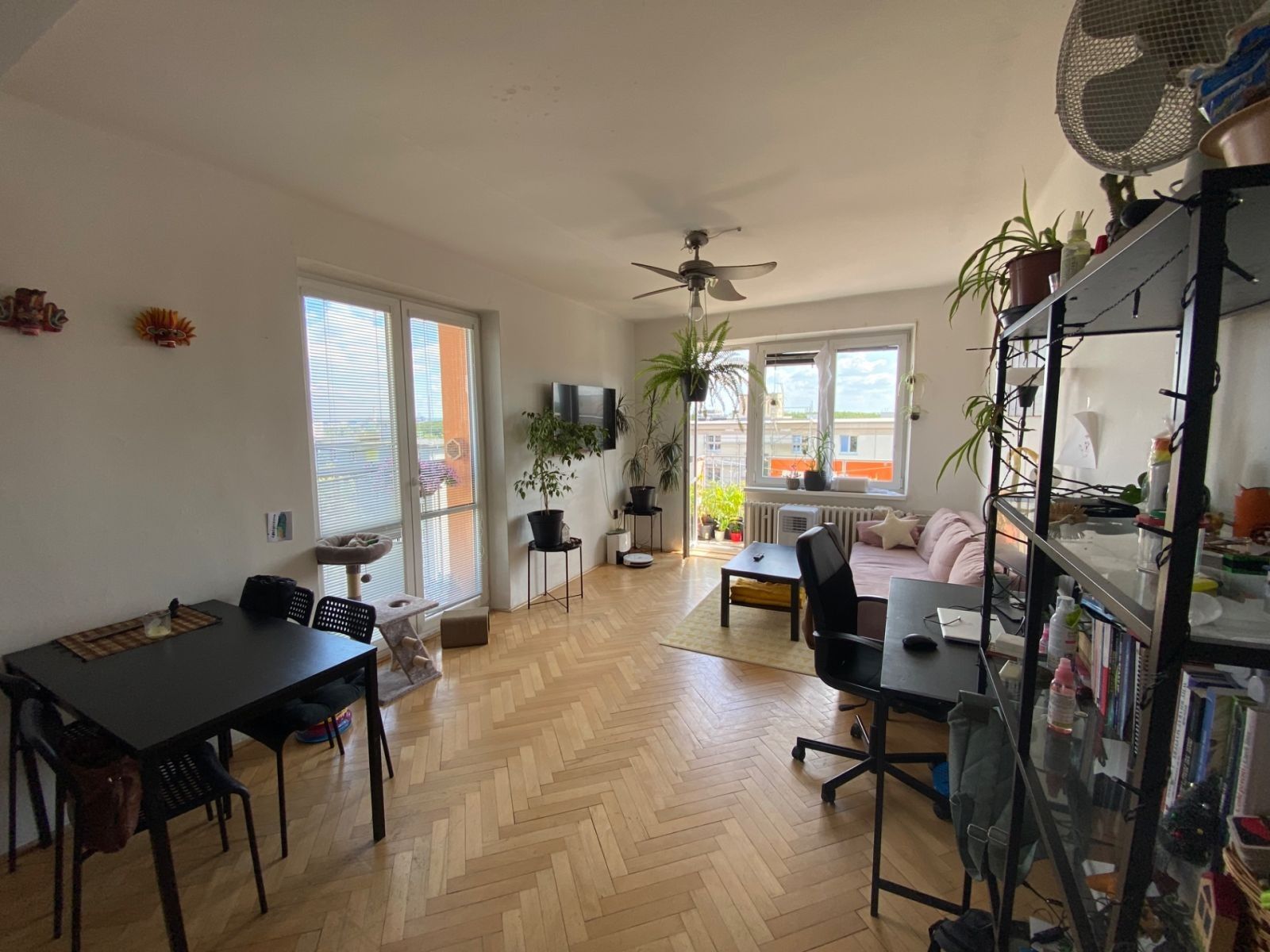 3+1, Pod Lipami, Praha - Žižkov, 70 m² - 1