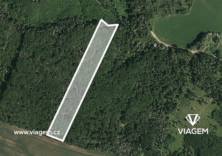 Les, 1 259 m²