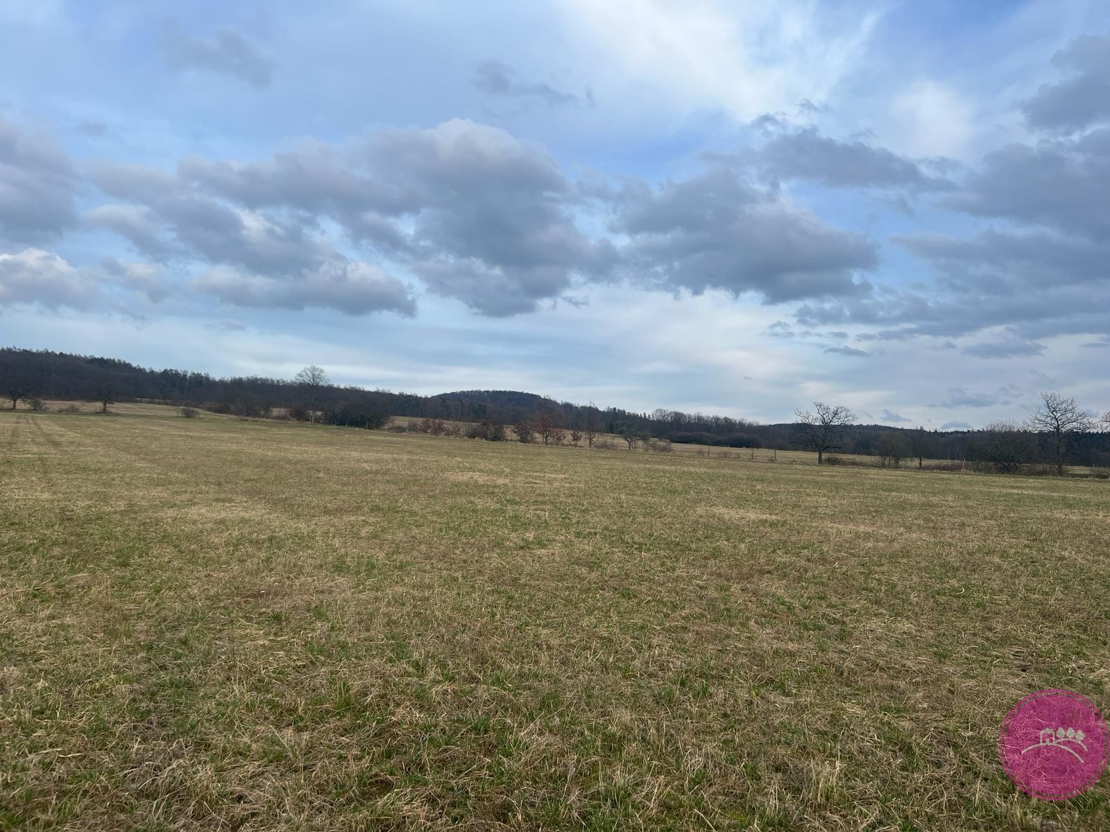Zemědělský pozemek · 13 030 m² · Bělkovice-Lašťany - 4