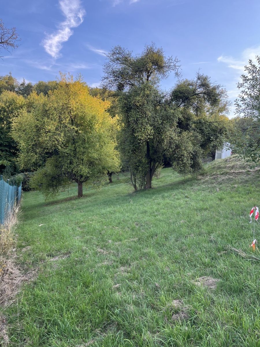 Prodej pozemek pro bydlení - Olomučany - 2