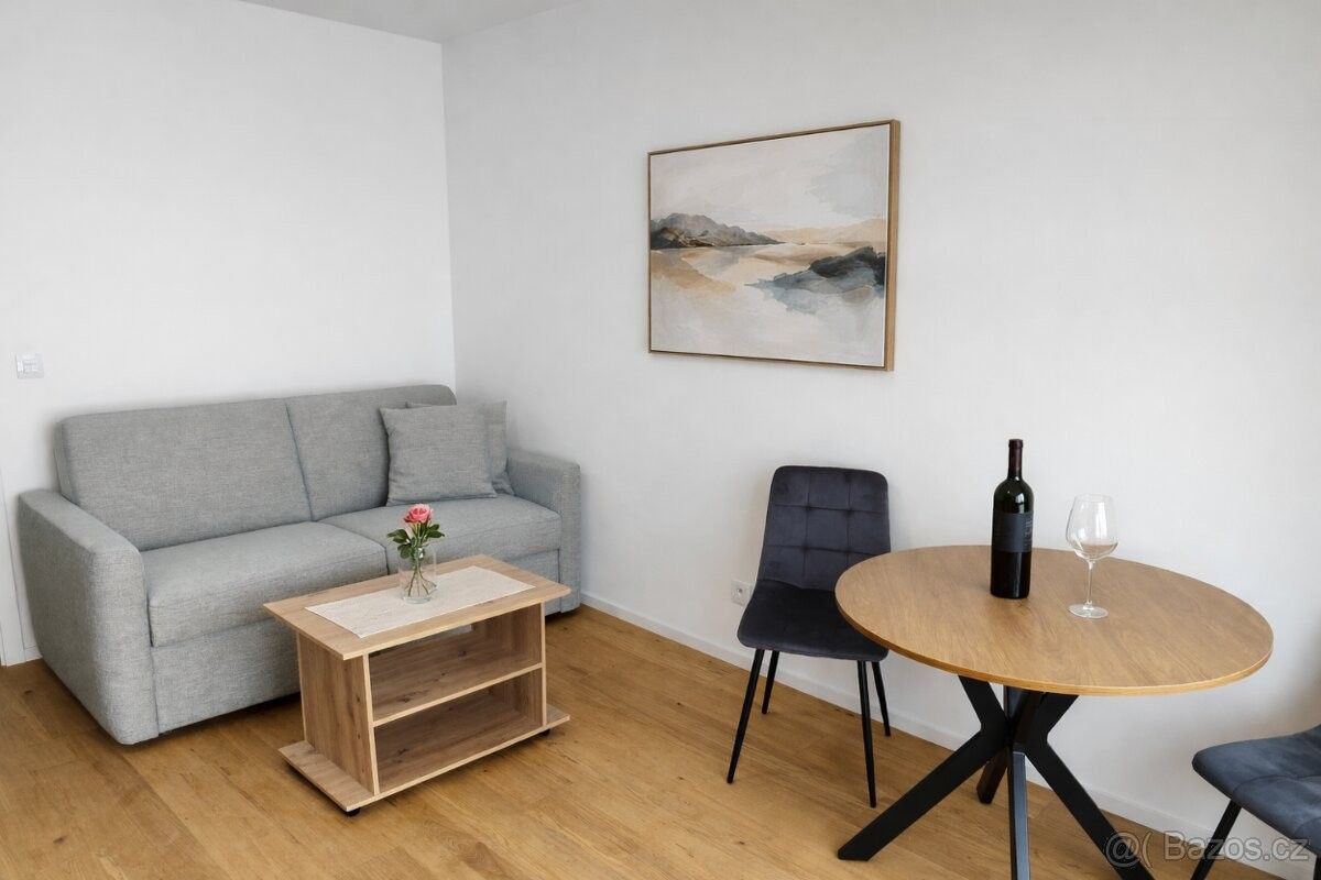 Pronájem byt - Brno, 602 00