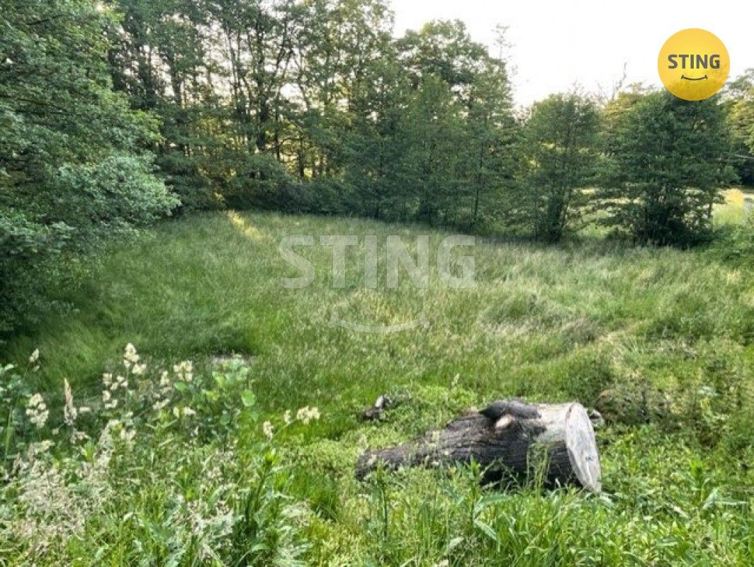 Prodej louka - Oldřichovice, Třinec, 7 m²