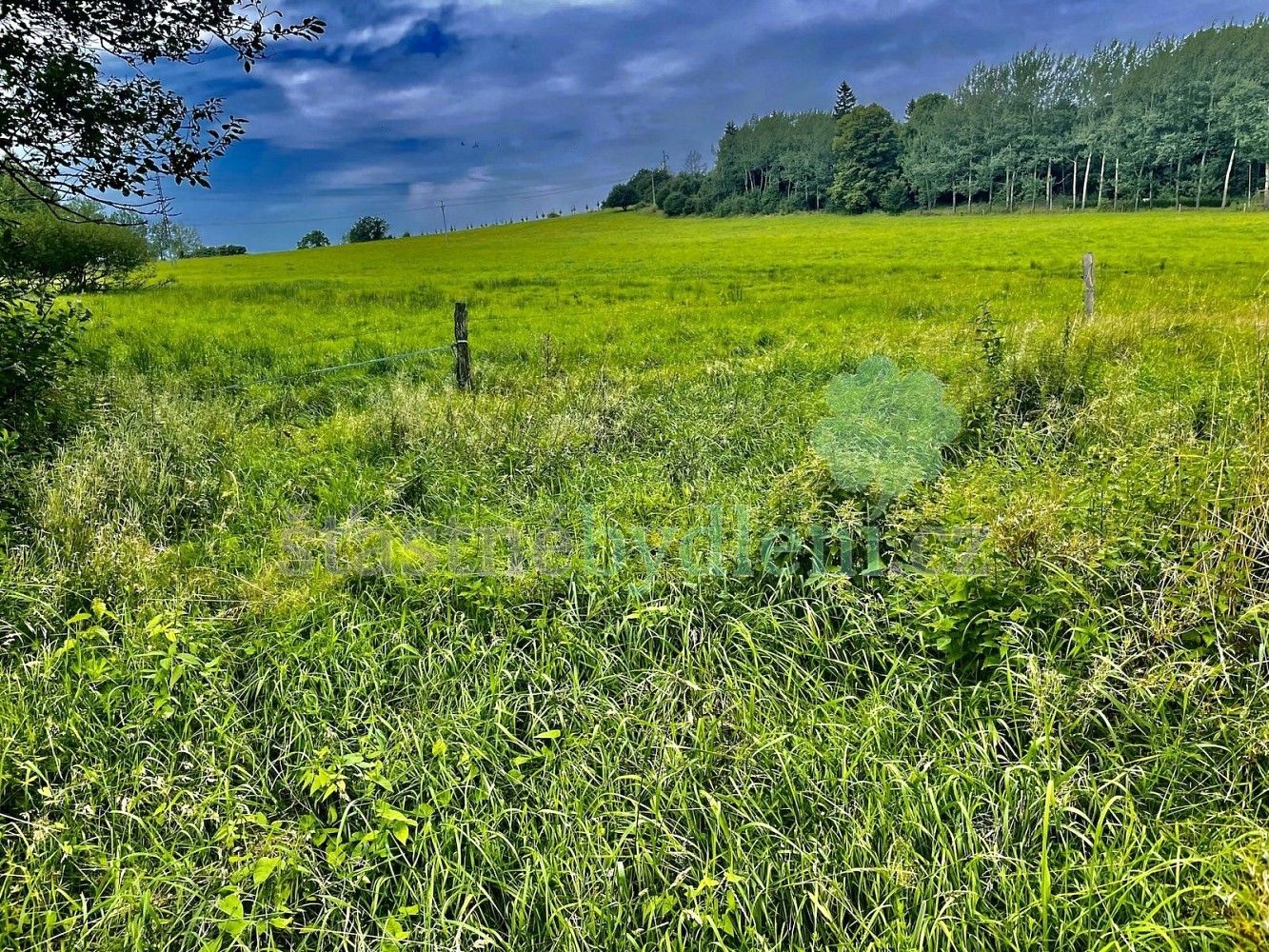 Zahrada · Kamenický Šenov, okres Česká Lípa, Liberecký kraj - 4