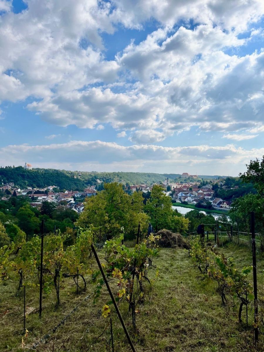 Pozemky pro bydlení, Dolní Kounice - Dolní Kounice, Jihomoravský kraj - 2