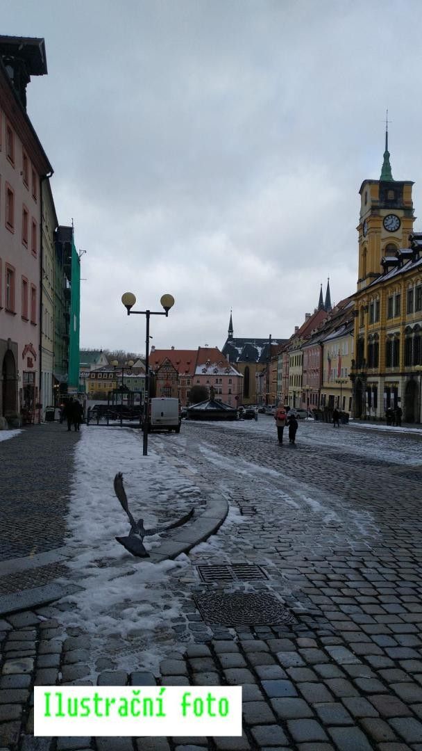 Ostatní, Cheb, 95 m²