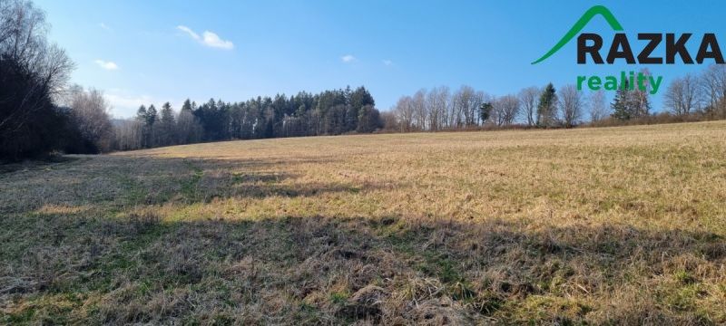 Pozemky pro bydlení, Tachov, 347 01