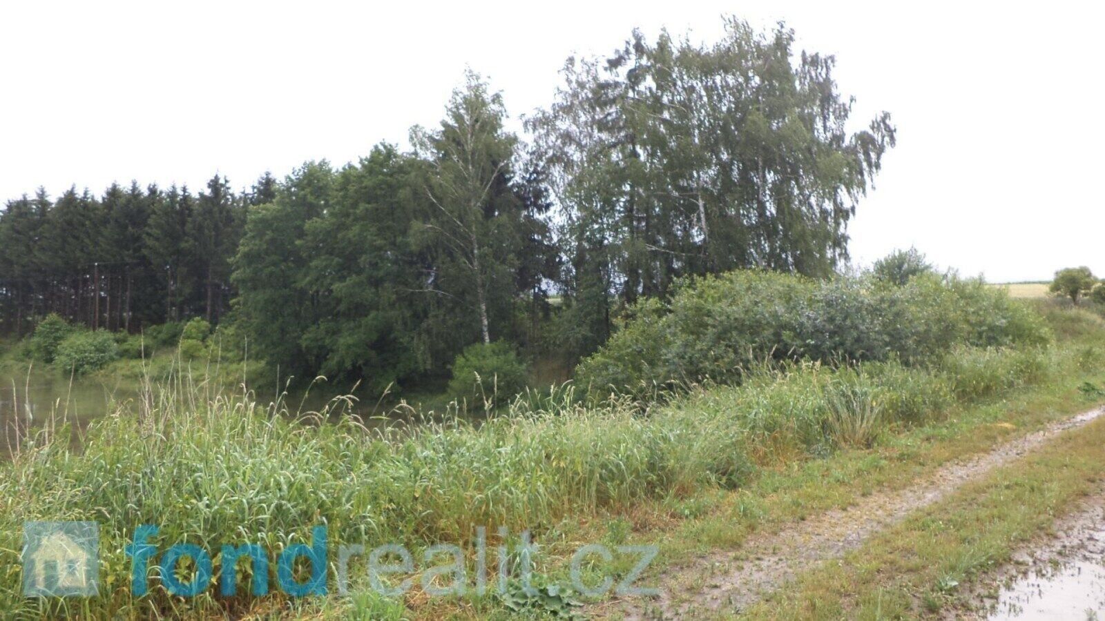 Pozemek · 4 992 m² · Třebařov - 4