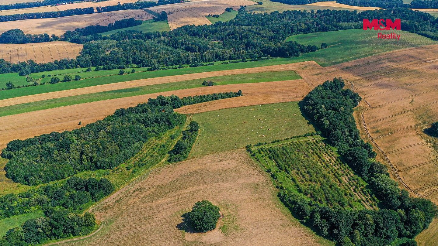 Zemědělské pozemky, Polom, okres Přerov, Olomoucký kraj - 2