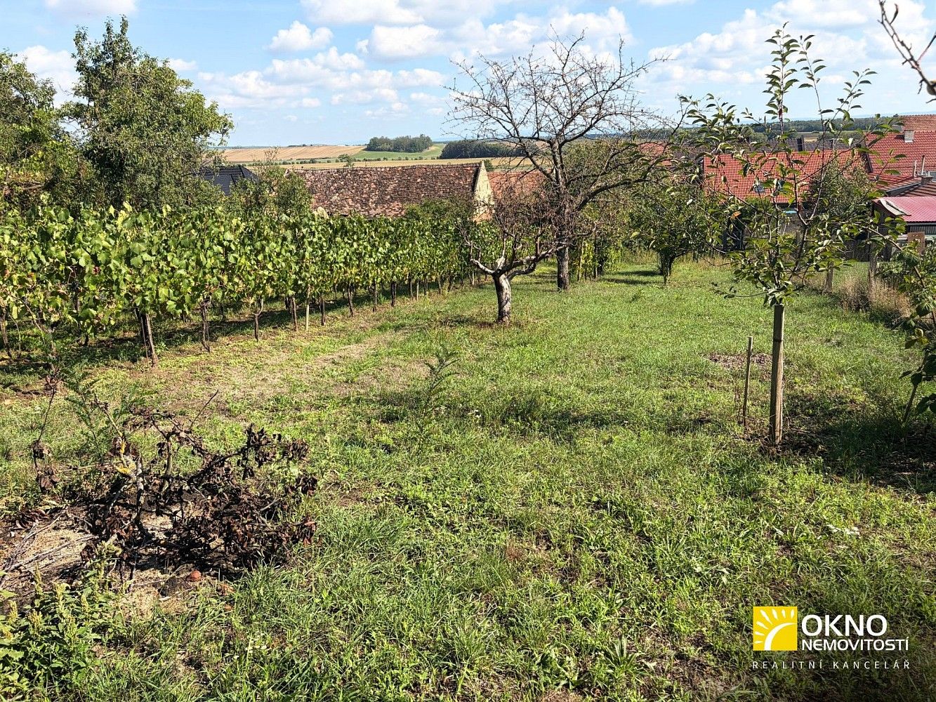 Zahrada · Svatobořice-Mistřín, okres Hodonín, Jihomoravský kraj - 4