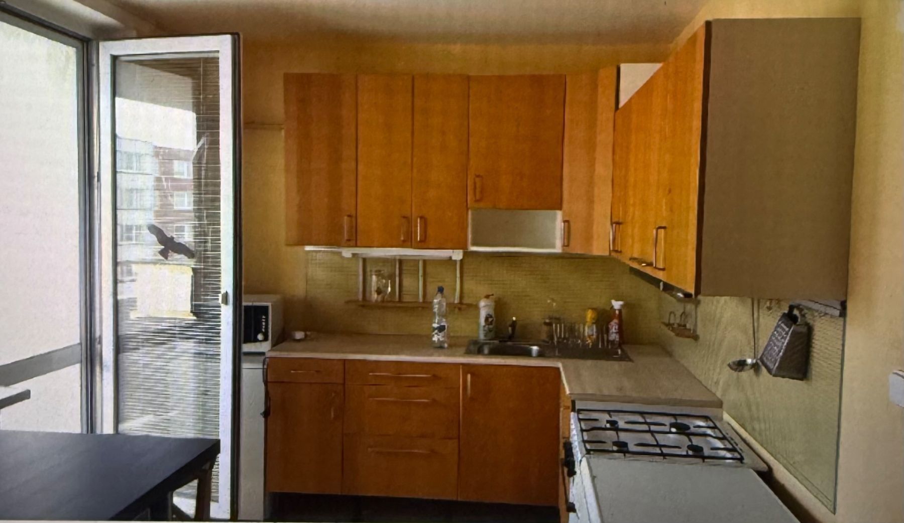 Pronájem byt 1+1 - Rerychova, Brno - Bystrc, Jihomoravský kraj, 45 m² - 2