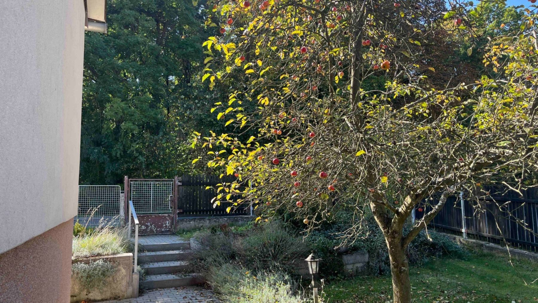 Prodej rodinný dům - Lesní, Lány - Lány, Středočeský kraj, 104 m² - 5