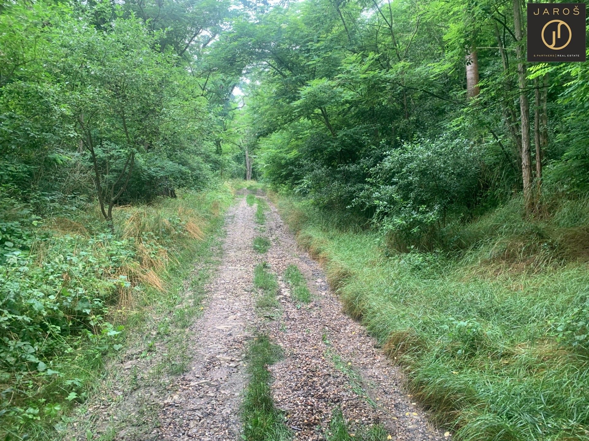 Prodej pozemek - Brodec