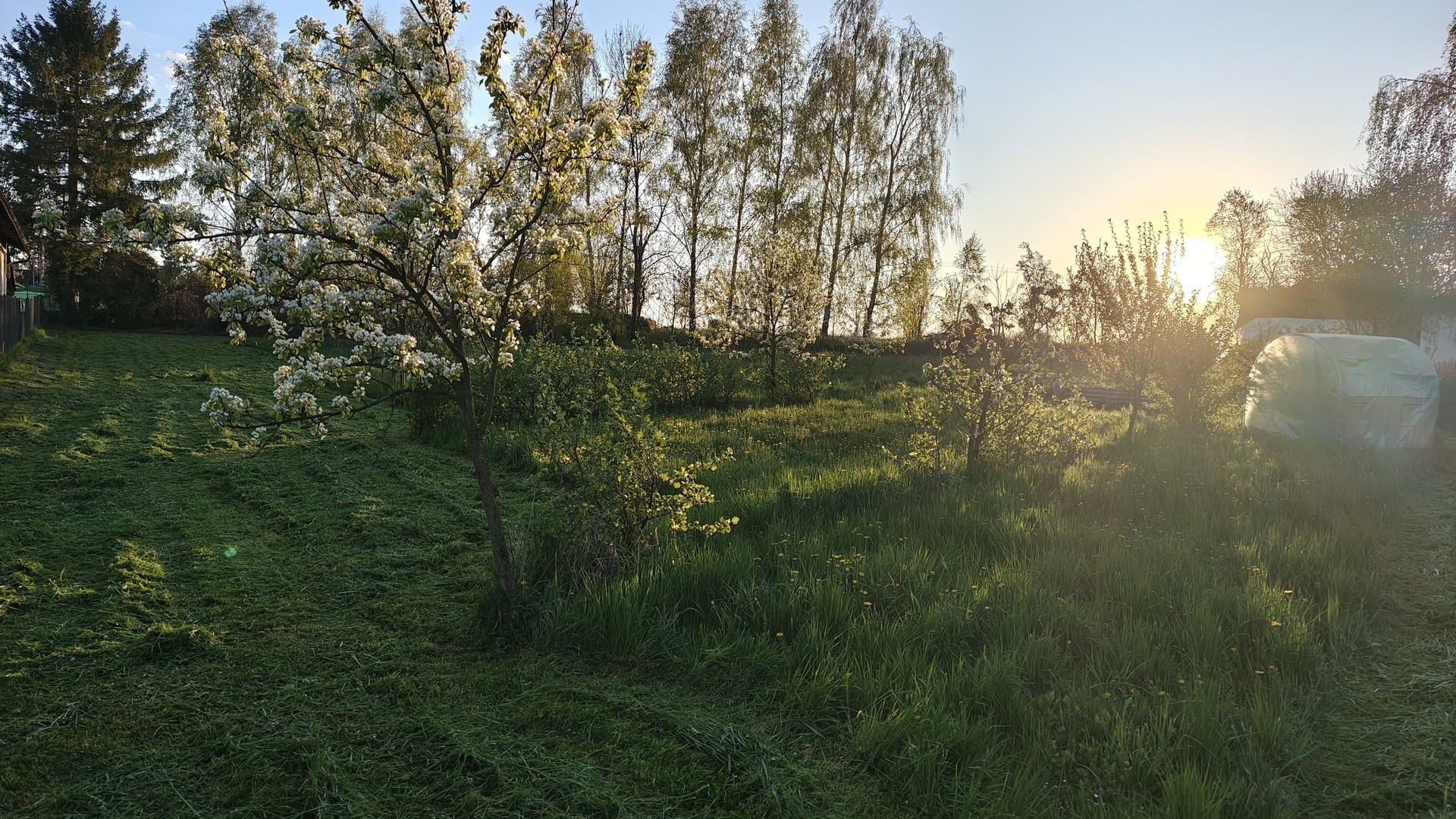 Prodej pozemek pro bydlení - Bartošovice - 2
