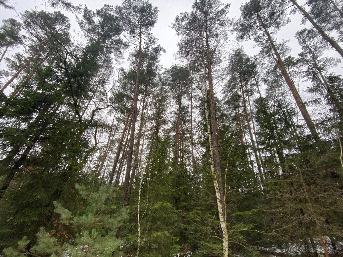 Prodej pozemek pro bydlení - Holice v Čechách, 534 01