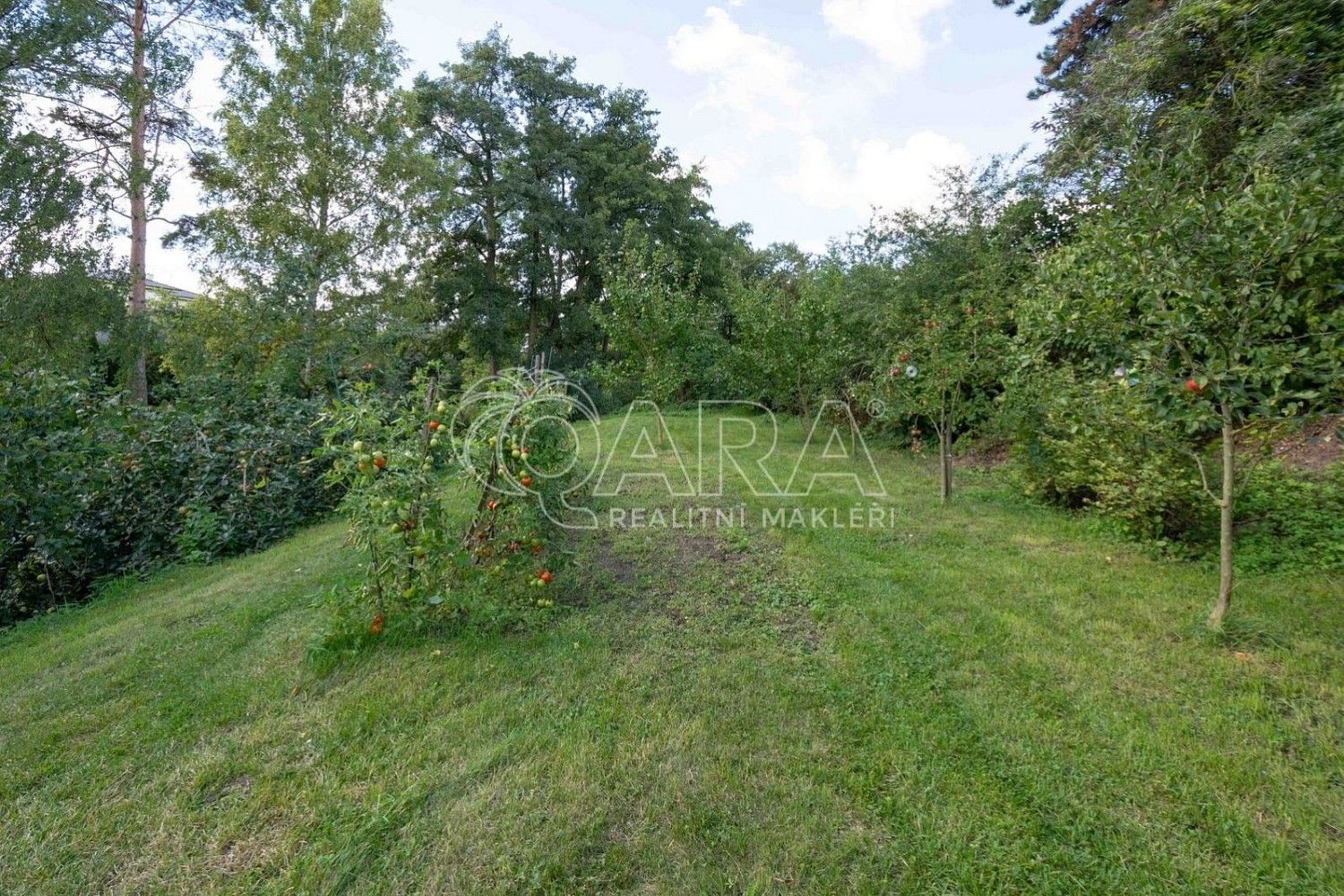 Prodej rodinný dům - Zápy, okres Praha-východ, 200 m² - 5