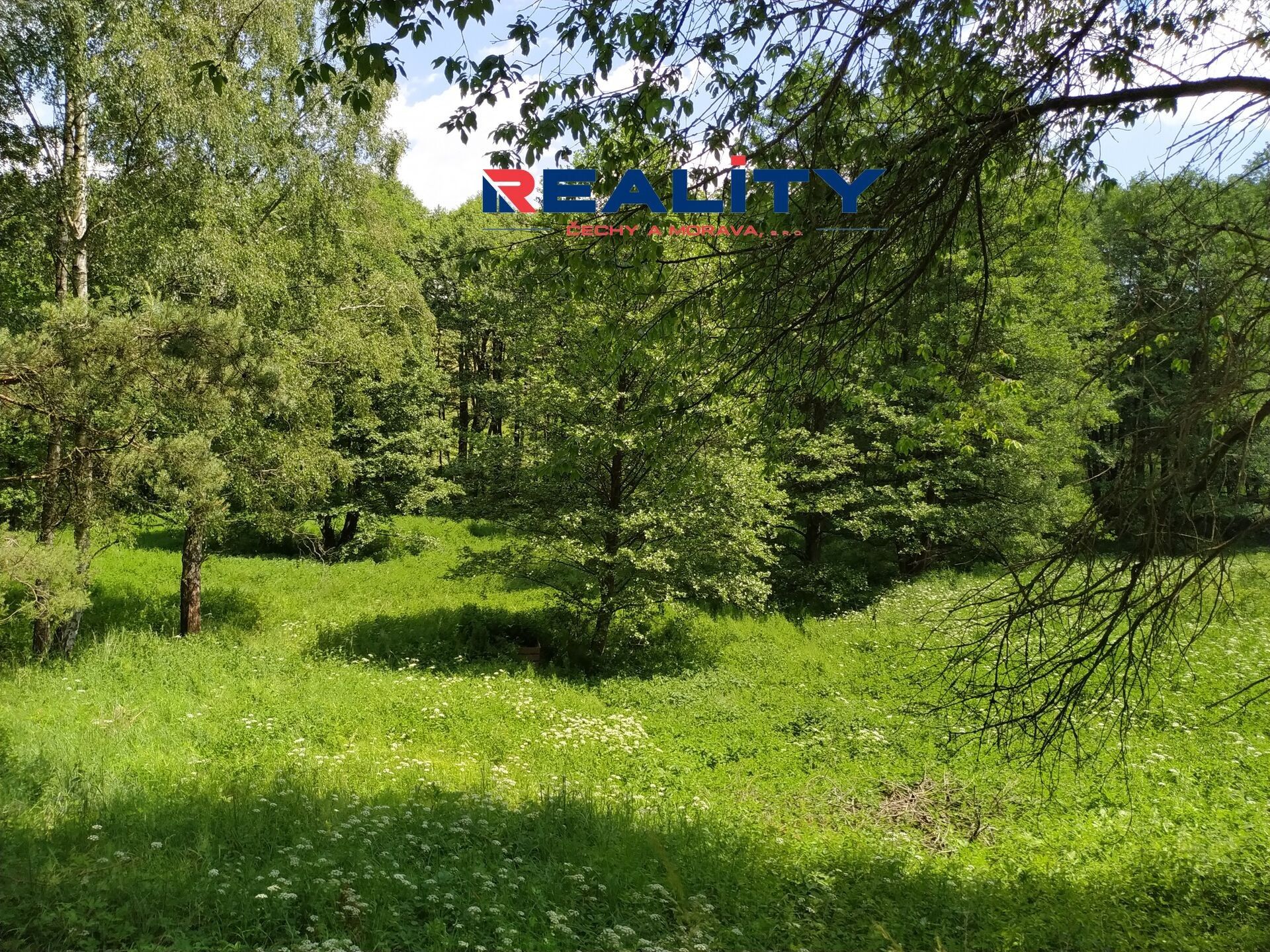 Prodej pozemek - Svojanov, Borušov, 7 m²