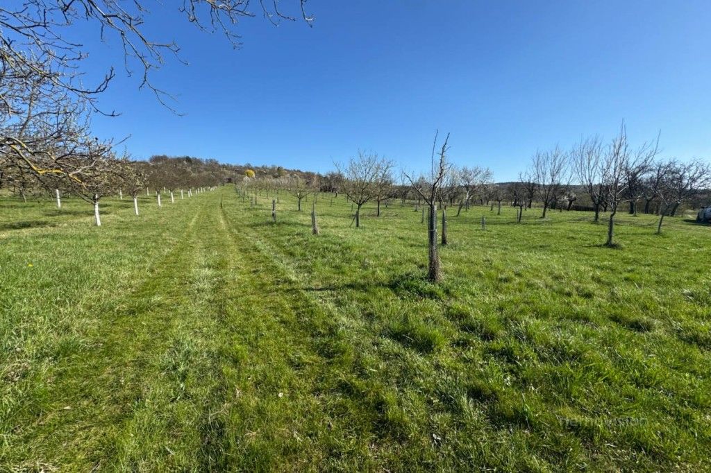 Zemědělské pozemky, Strážnice