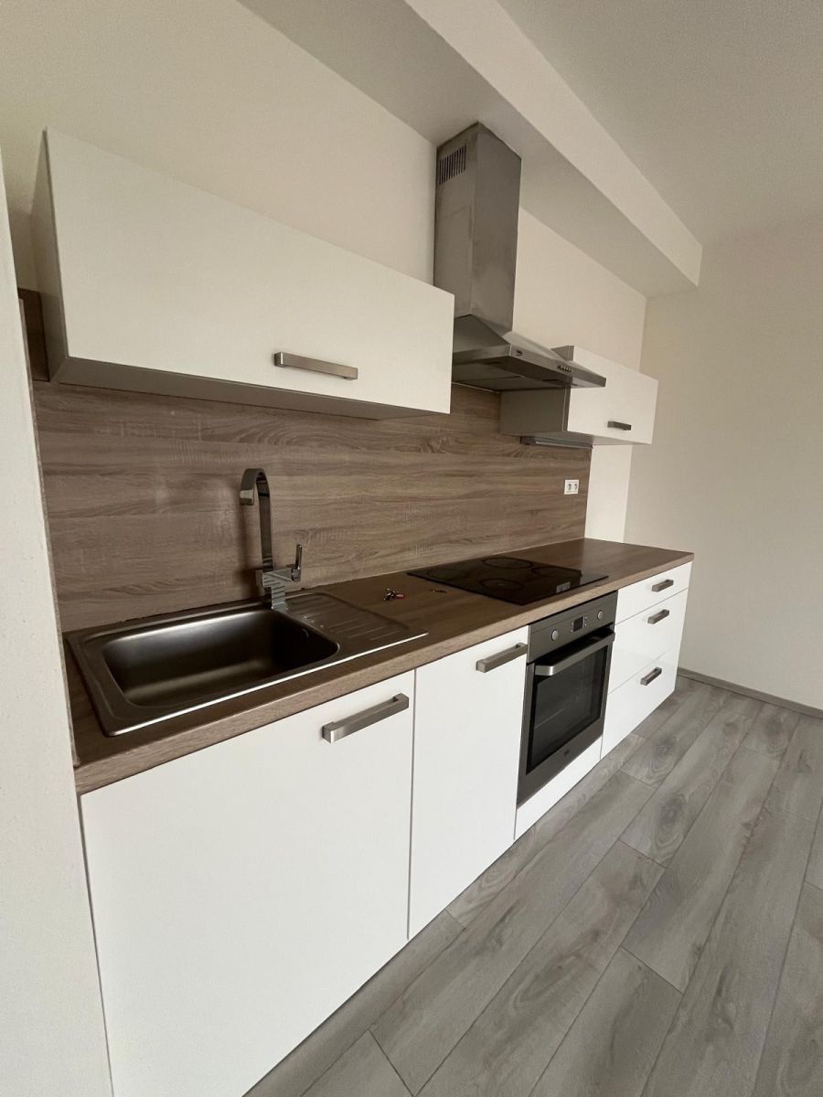2+kk, U Velkého rybníka, Plzeň - Bolevec, Plzeňský kraj, 57 m² - 1