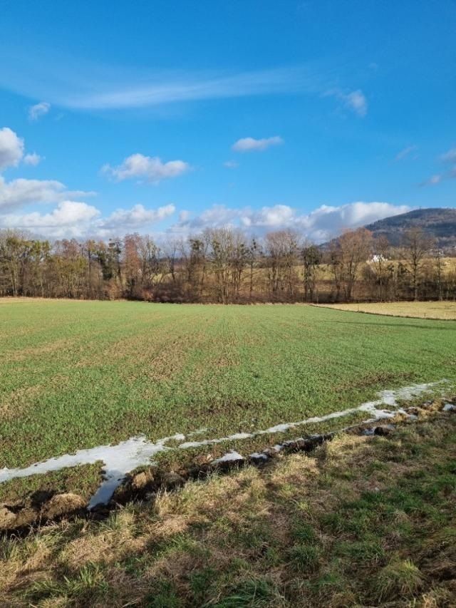 Pronájem zahrada - Náměstí, Štramberk, 800 m²