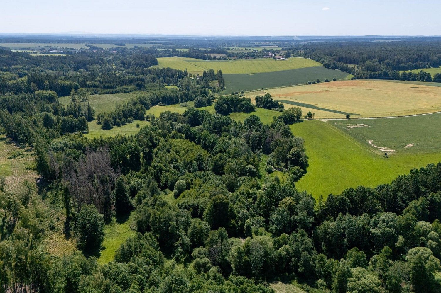 Prodej pozemek pro bydlení - Choustník - Předboř, okres Tábor, Jihočeský kraj - 5