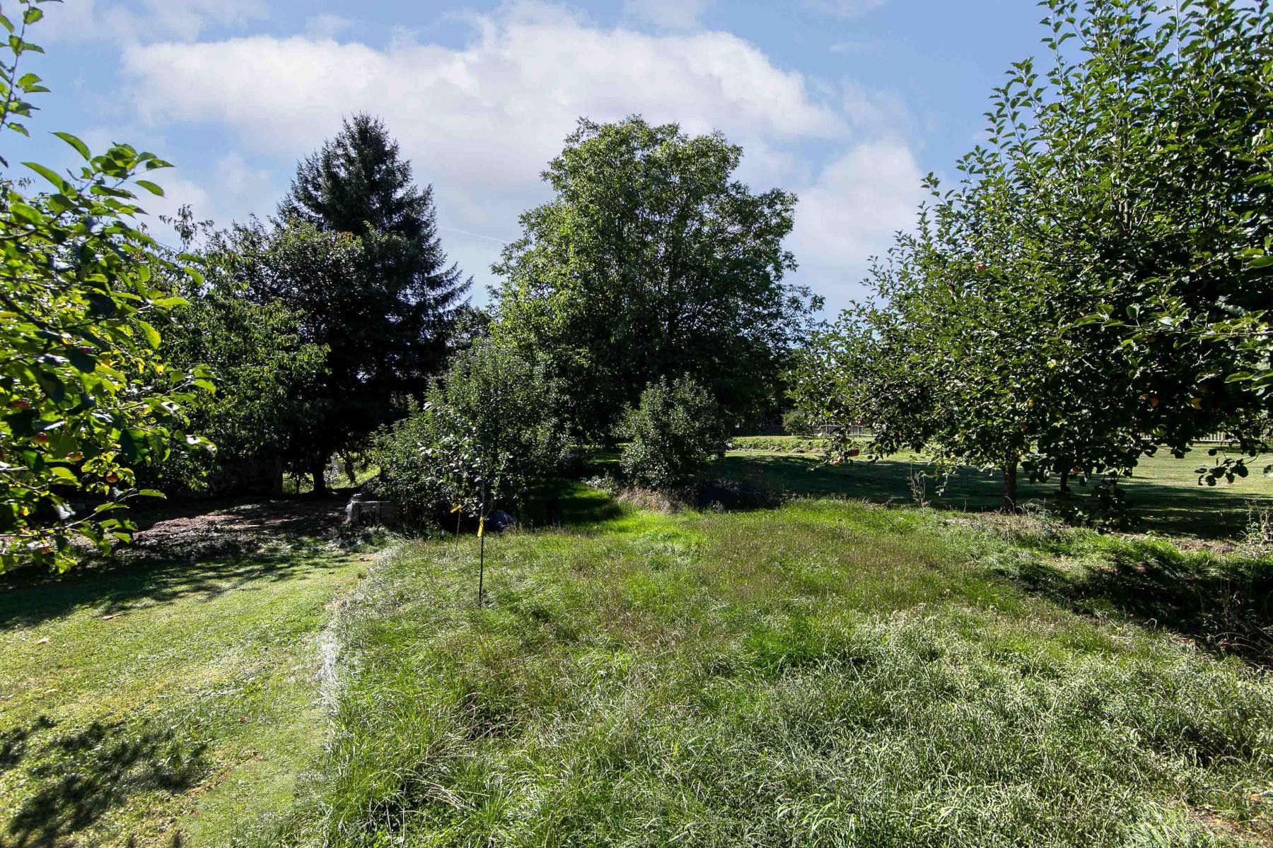 Prodej rodinný dům - Kožlany Dřevec, 208 m² - 5