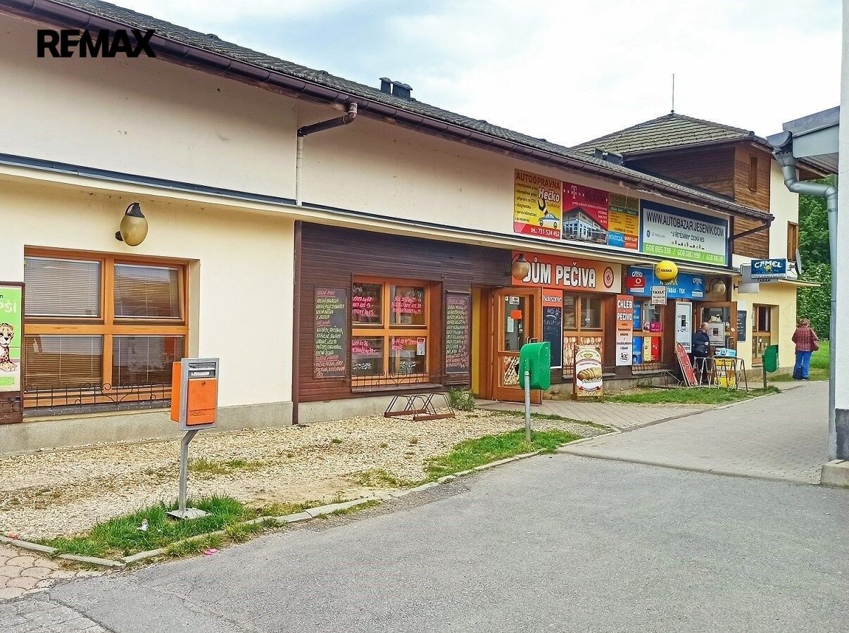 1+kk, Sadová 899, Jeseník, 25 m² - 1