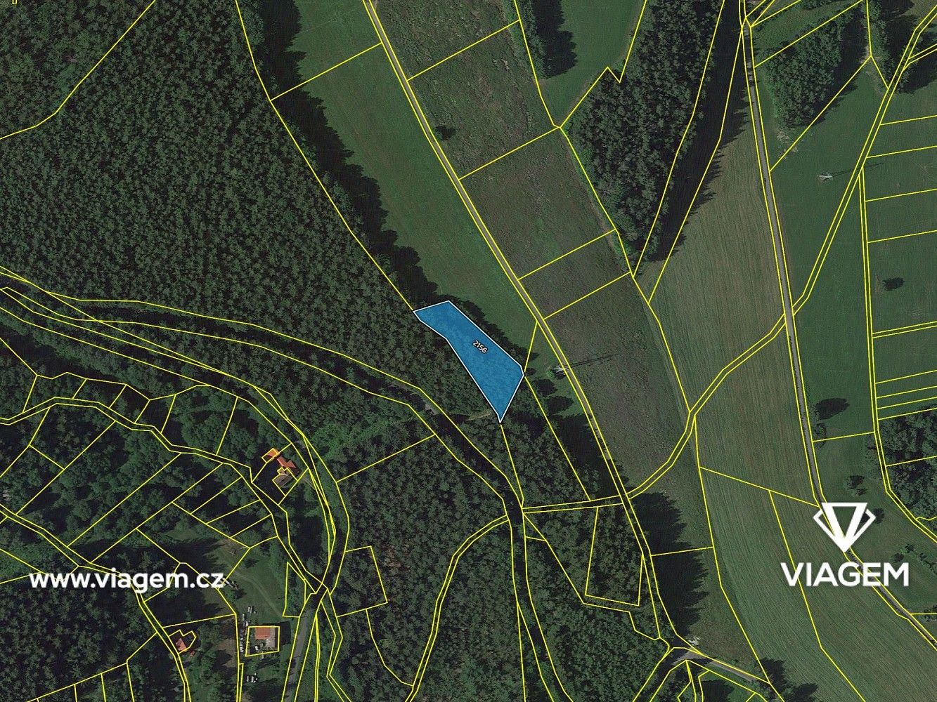 Les · Loužnice, okres Jablonec nad Nisou, Liberecký kraj - 4