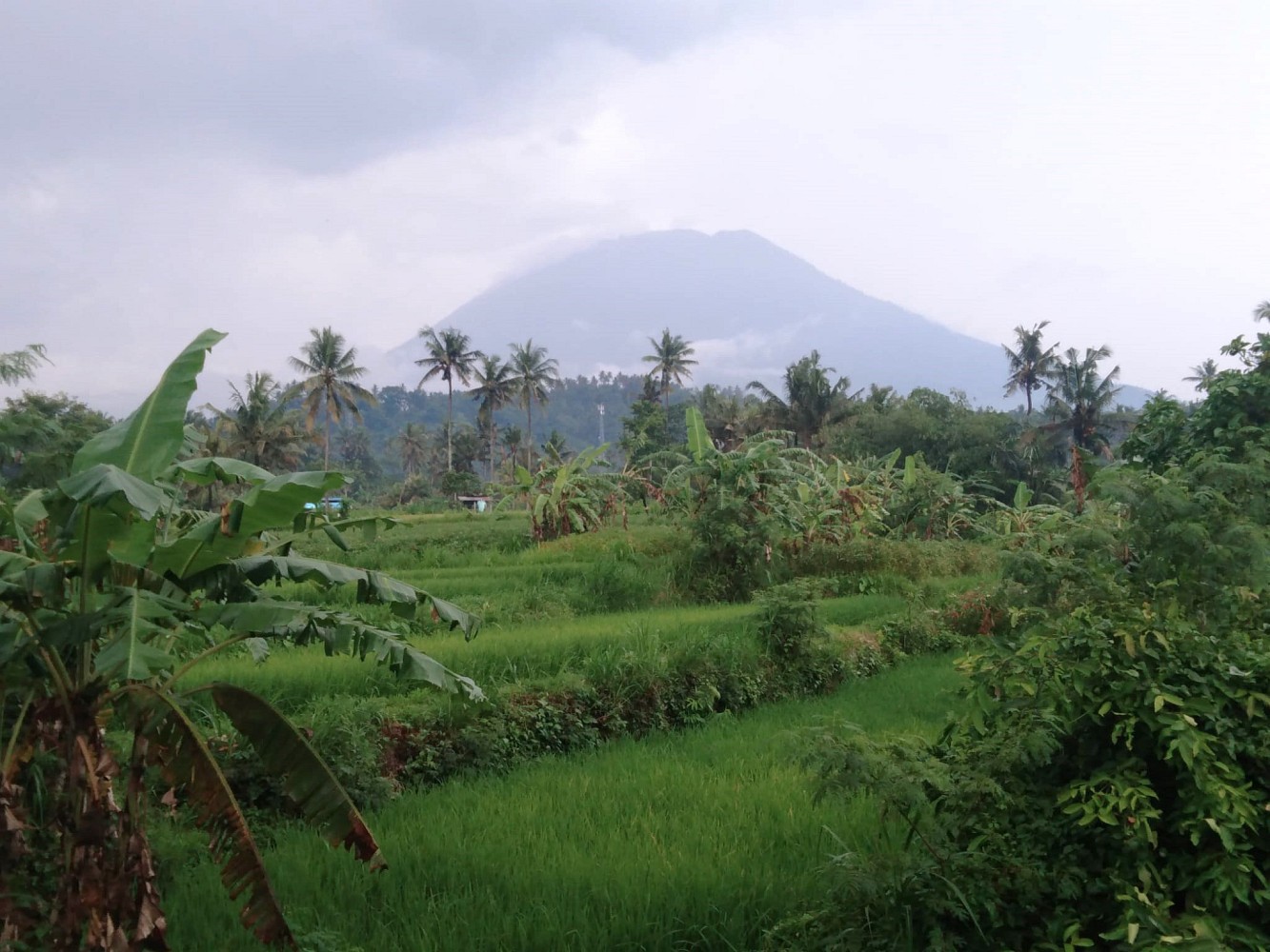 Pozemek pro bydlení · Bebandem, Karangasem, Indonézie - 3