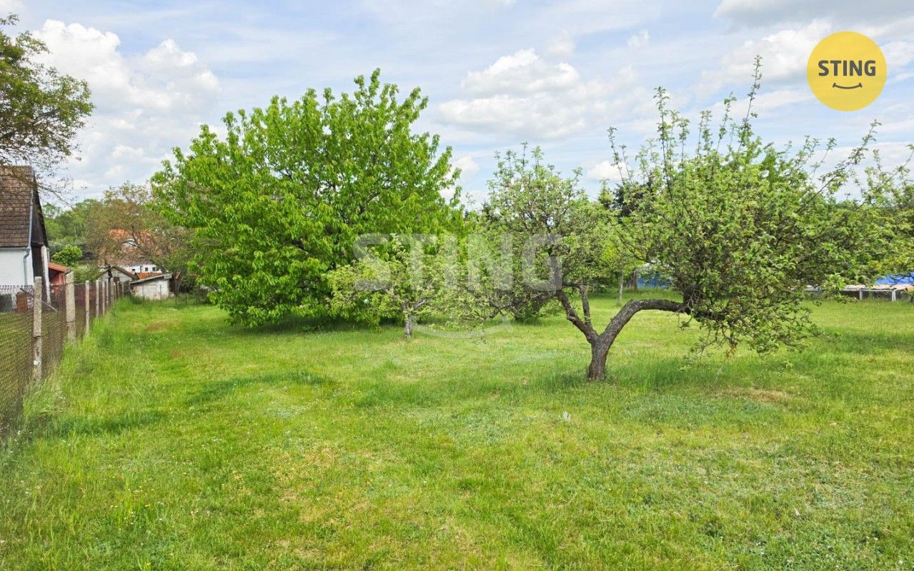 Zemědělská usedlost · 76 m² · Chvalatice - 4