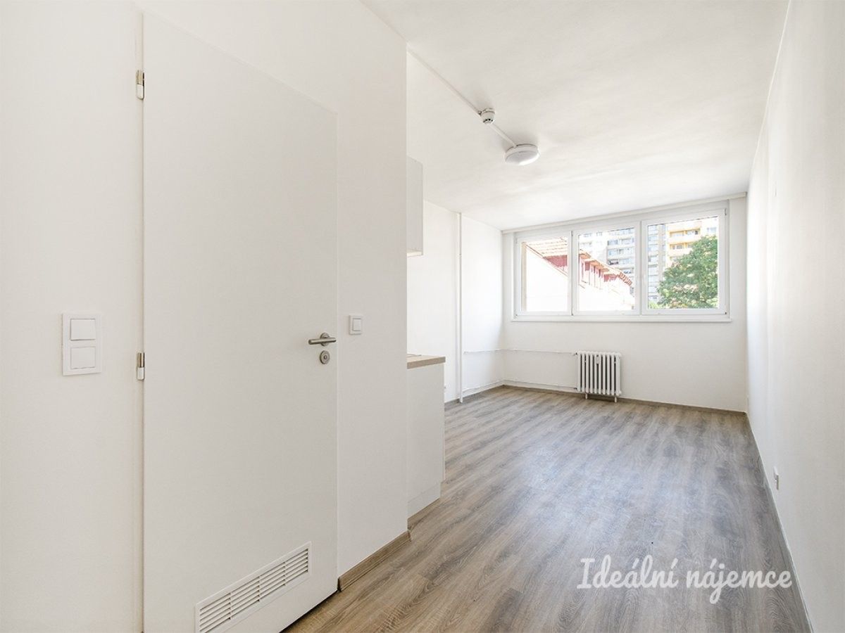1+kk, Děčínská, Praha, 24 m² - 2