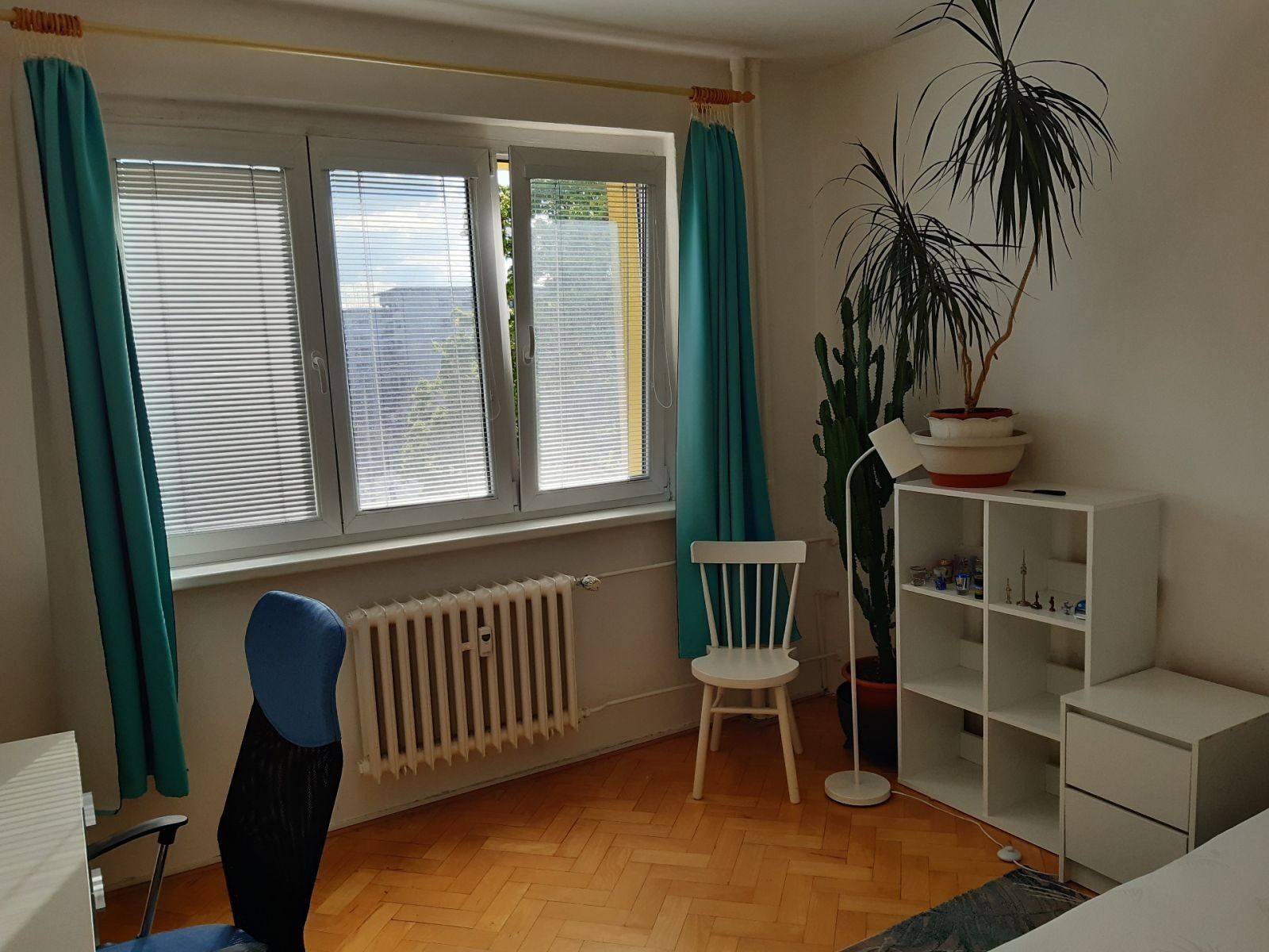 3+kk, Mendlovo náměstí, Brno - Staré Brno, Jihomoravský kraj, 65 m² - 2