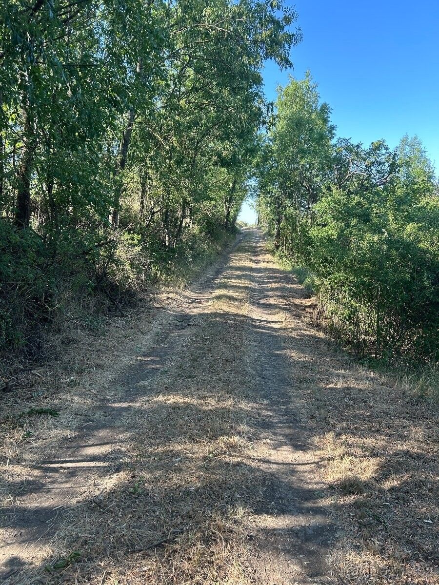 Zahrady, Hustopeče u Brna, 693 01 - 2
