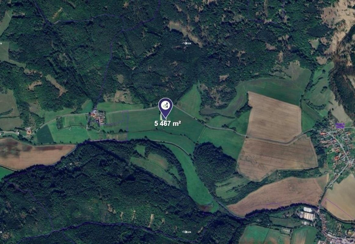 Prodej zemědělský pozemek - Vranová Lhota - 2