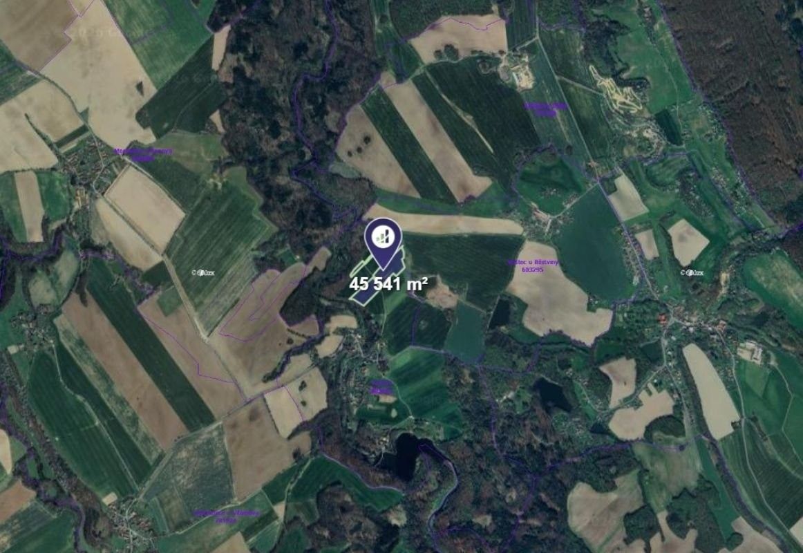 Prodej zemědělský pozemek - Běstvina, 45 541 m²