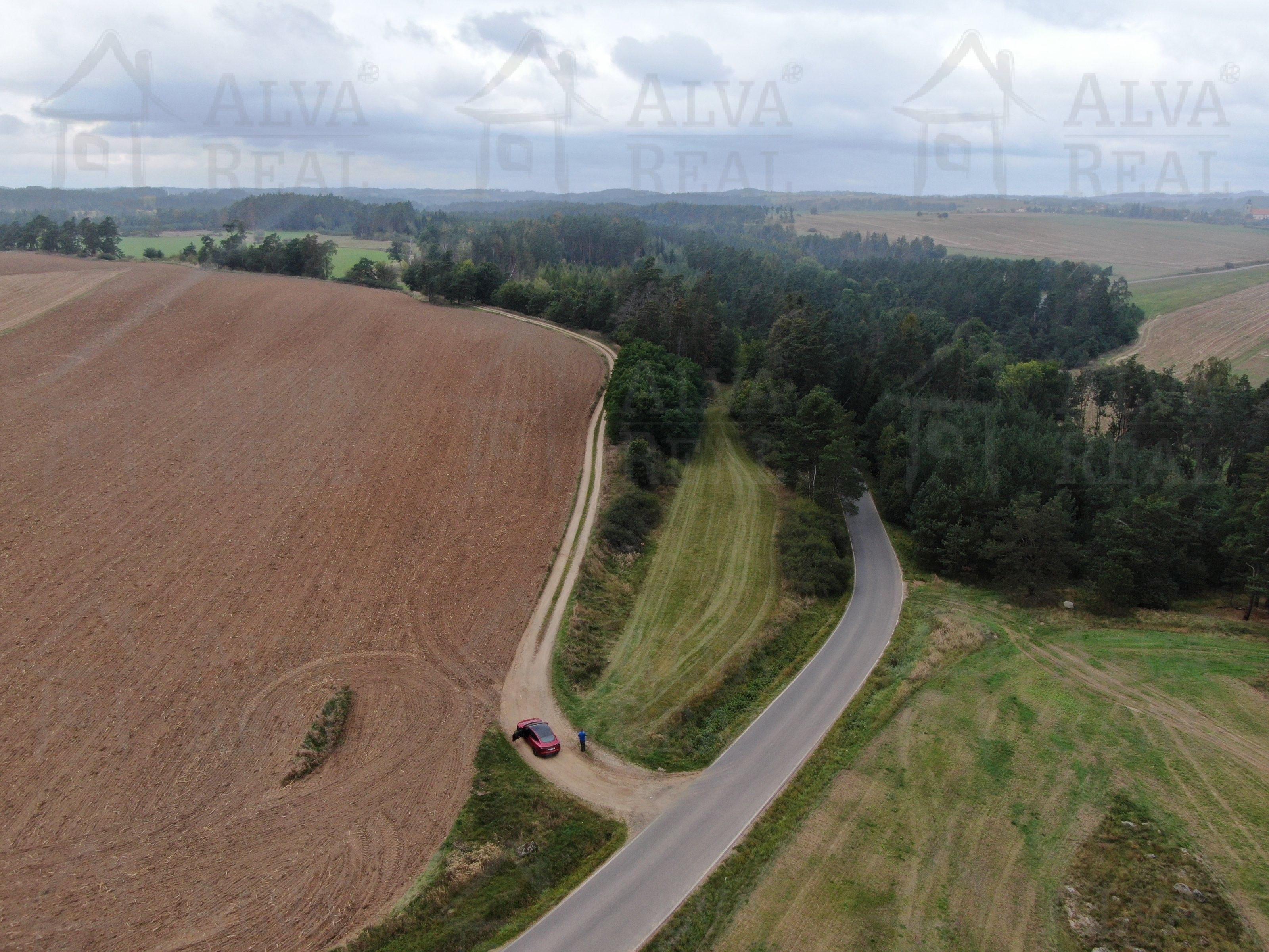 Prodej les - Tasov, Žďár nad Sázavou, 24 443 m²