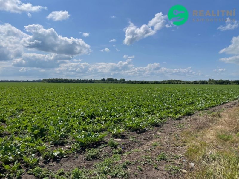 Prodej zemědělský pozemek - Prostějov