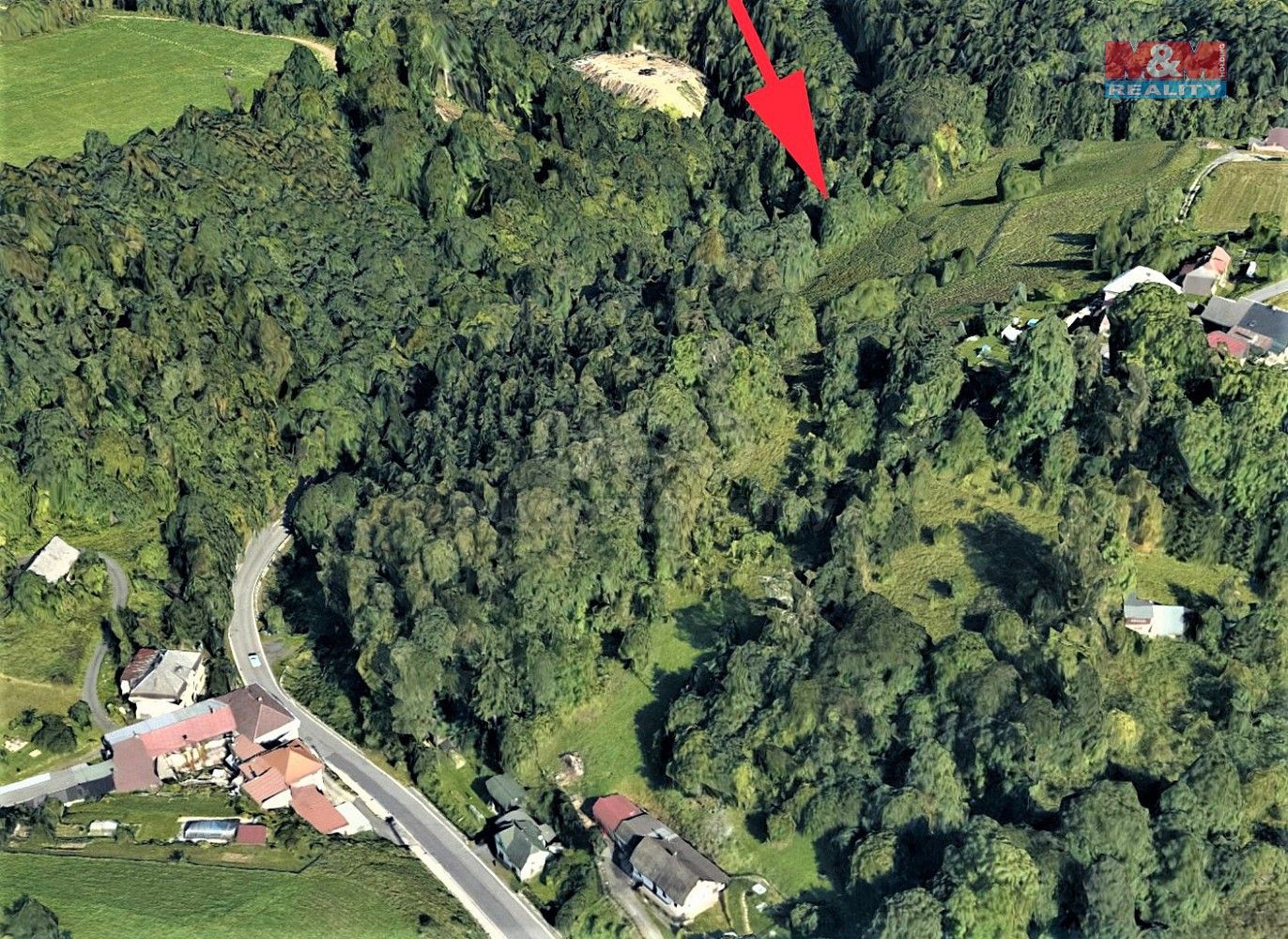 Les · Koberovy, okres Jablonec nad Nisou, Liberecký kraj - 3