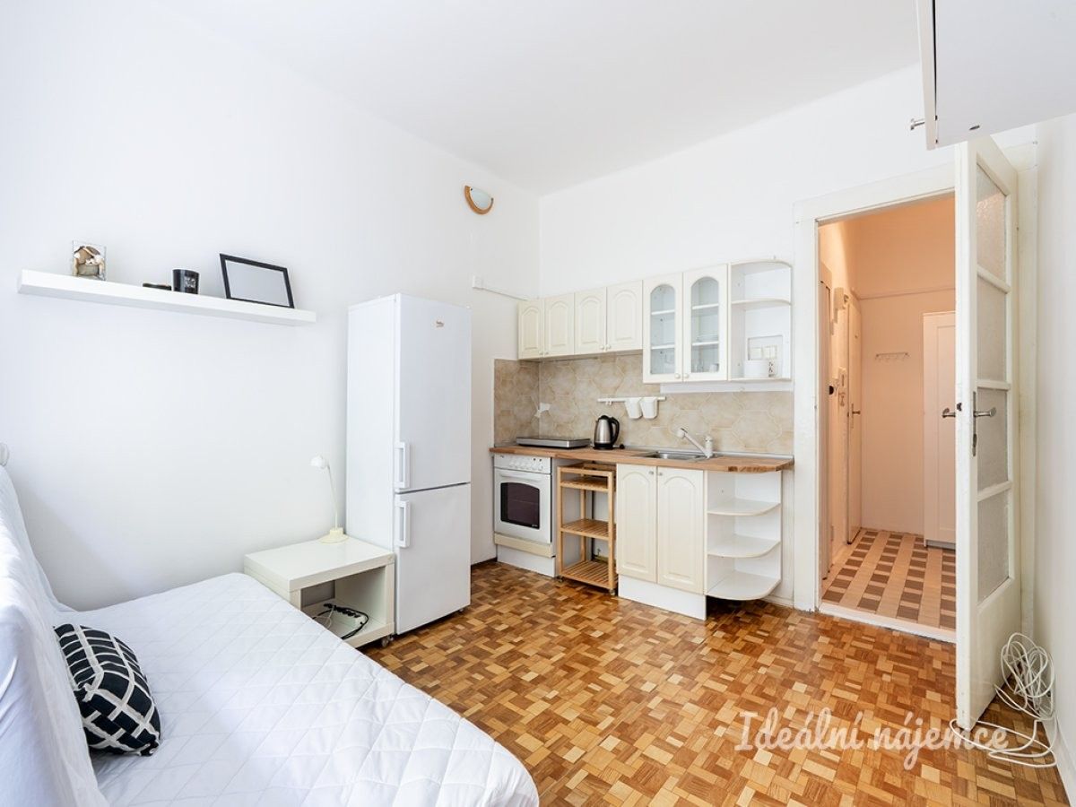 Pronájem byt 1+kk - Soběslavská, Praha, 20 m²