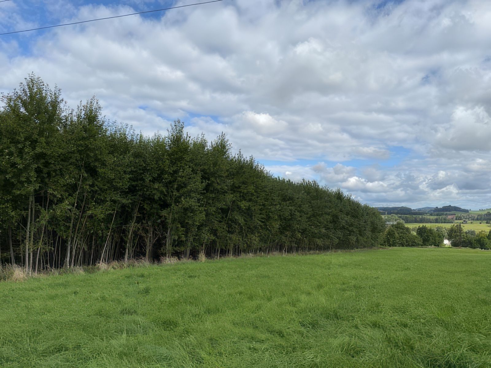 Prodej zemědělský pozemek - Česká Kamenice
