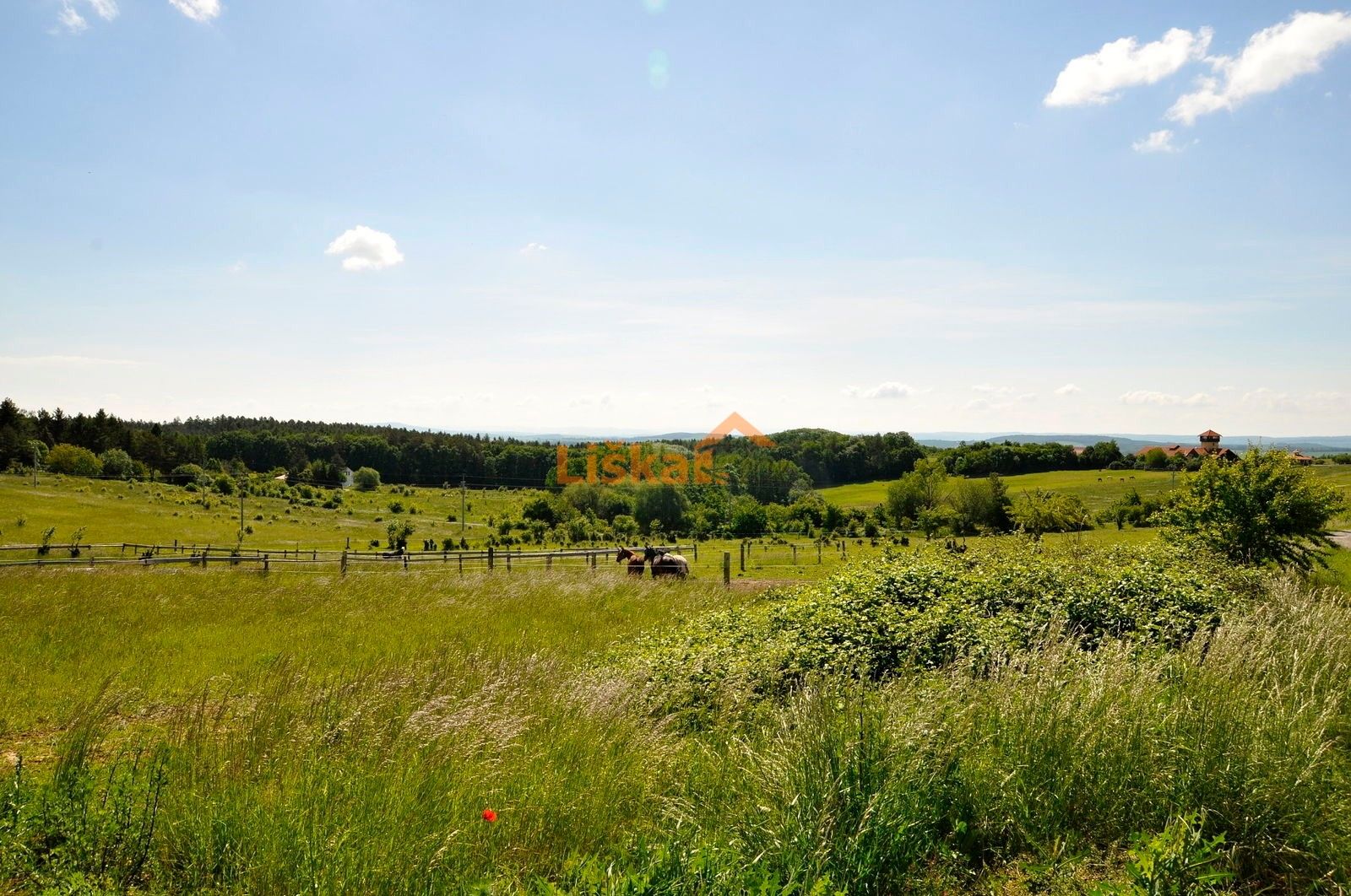 Pozemek pro bydlení · 967 m² · Olšany - 3