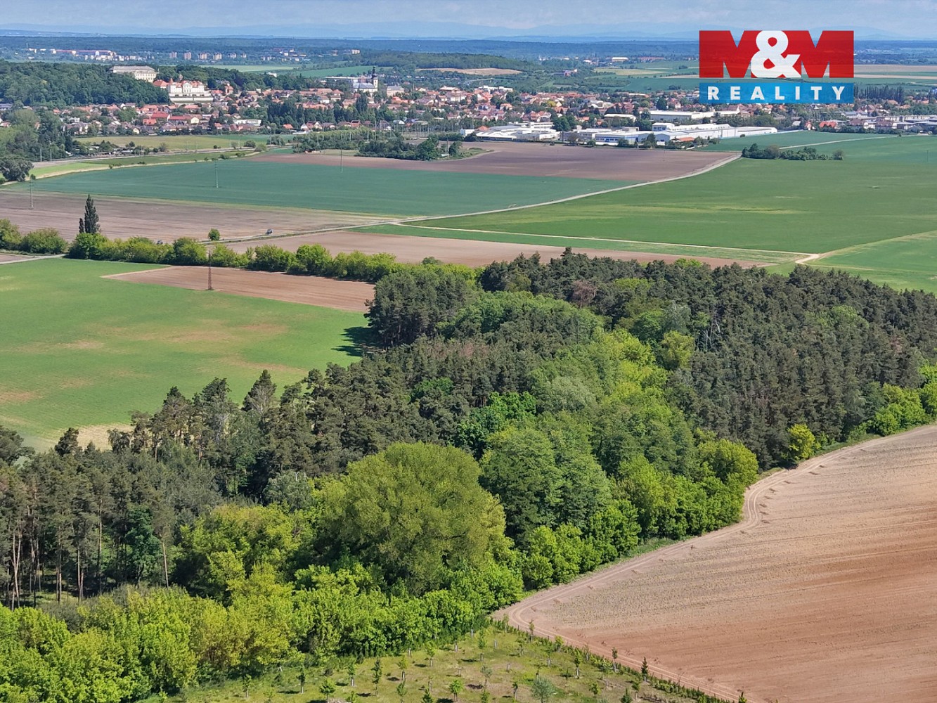 Les · Lysá nad Labem, okres Nymburk - 4