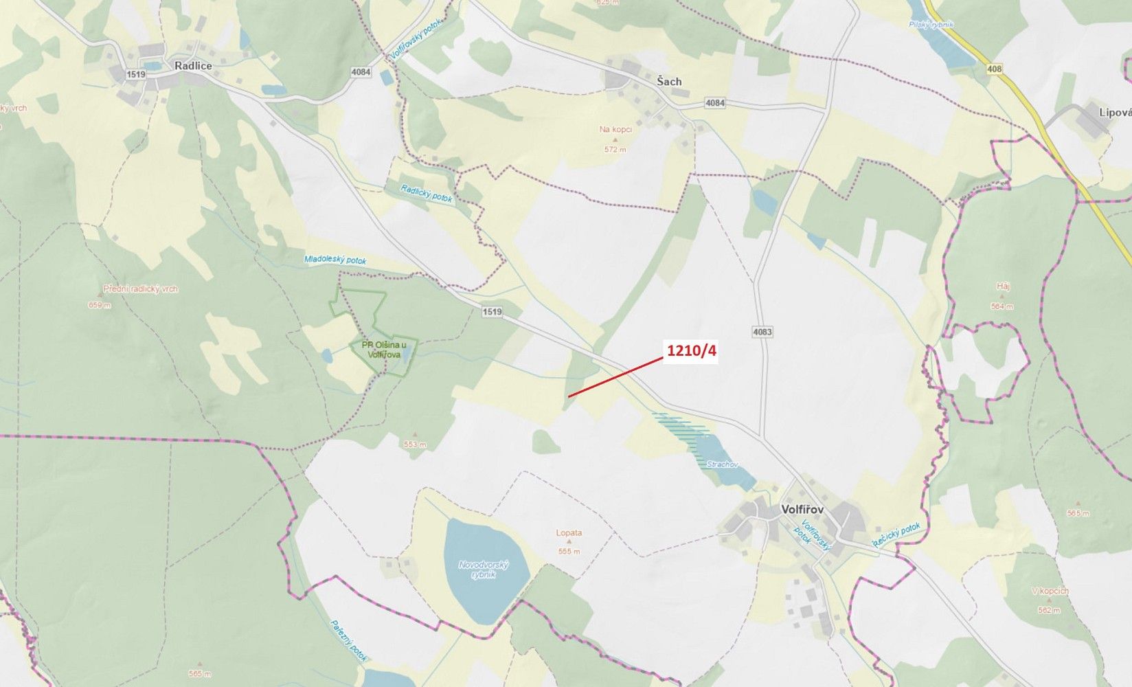 Les · Volfířov, okres Jindřichův Hradec, Jihočeský kraj - 1