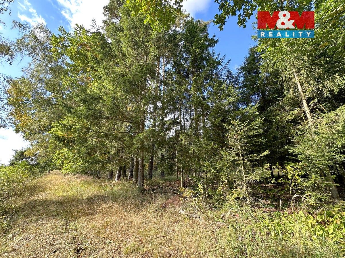 Prodej pozemek pro bydlení - Králův Dvůr u Berouna, 267 01