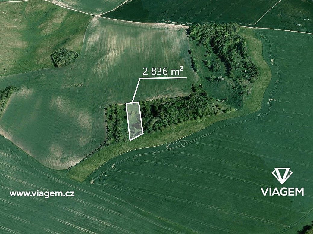 Zahrada · Bošovice, okres Vyškov, Jihomoravský kraj - 3